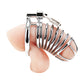 Blue Line Deluxe Chastity Cage - Silver