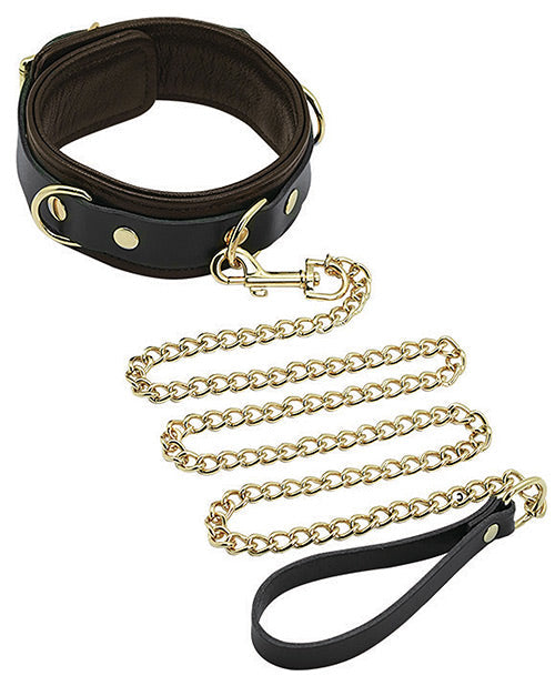 Spartacus Collar & Leash - Brown Leather w/Gold Accent Hardware