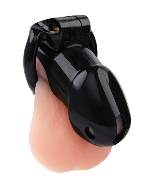 Lockmaster 4" Resin Cock Cage - Black