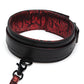 Fifty Shades of Grey Sweet Anticipation Collar & Leash