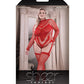 Sheer Infatuation Long Sleeve Teddy w/Attached Footless Stockings Red QN