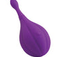 JimmyJane Focus Sonic Vibrator - Purple