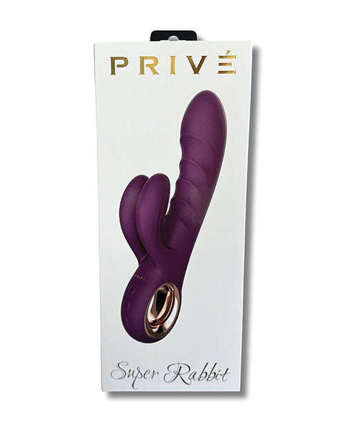 PRIVE G Spot Vibrator | Super Rabbit Vibrator | 10-Function Purple Clit Vibrator | Best Vibrator for Women