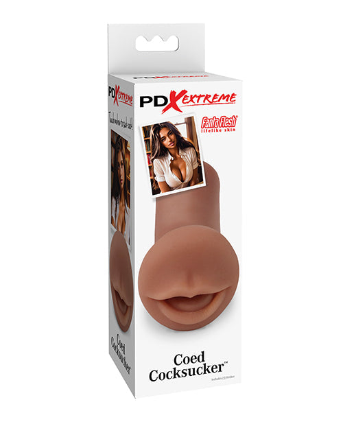 PDX Extreme Coed Cocksucker - Brown