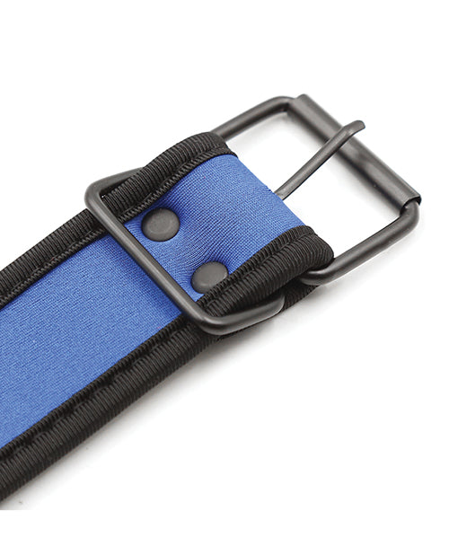 Plesur Neoprene Puppy Collar - Blue