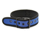 Plesur Neoprene Puppy Collar - Blue