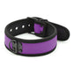 Plesur Neoprene Puppy Collar - Purple