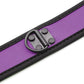 Plesur Neoprene Puppy Collar - Purple