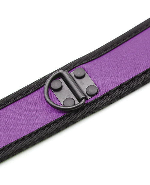 Plesur Neoprene Puppy Collar - Purple