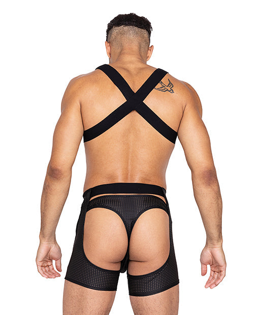 Master Harness w/Hook & Ring Closure Black LG