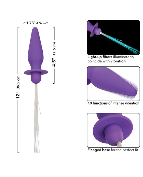 Southern Lights Rechargeable Vibrating Light Up Anal Probe - Purple