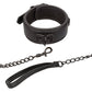 Nocturnal Collection Detachable Collar & Leash - Black