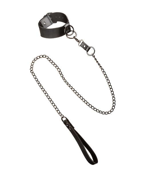 Euphoria Collection Collar w/Chain Leash