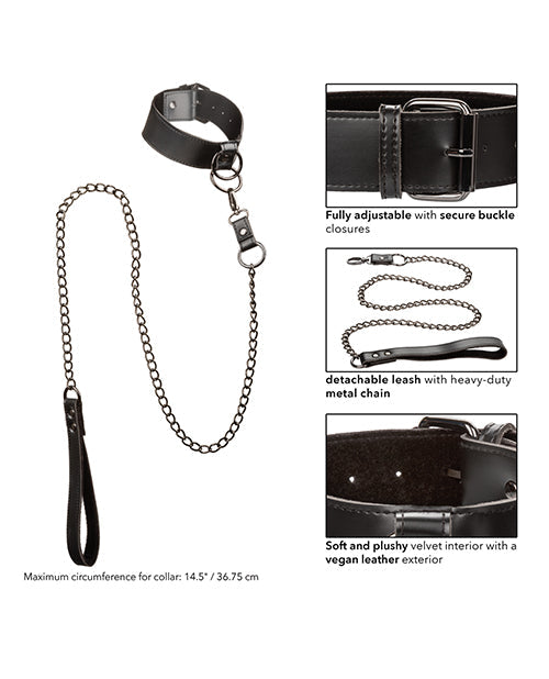 Euphoria Collection Collar w/Chain Leash