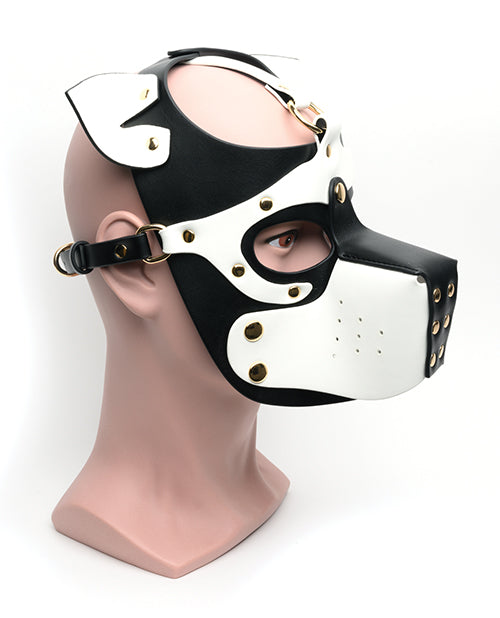 665 Bondage Pup Hood - O/S Black/White