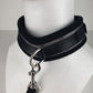 Spartacus Collar & Leash - Neoprene Silver