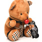 Master Series Gagged Teddy Bear Plush